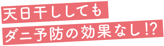 天日干ししてもダニ予防の効果なし！？