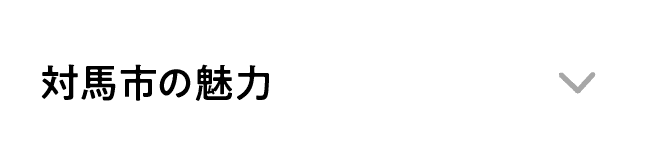 対馬市の魅力