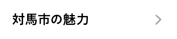 対馬市の魅力