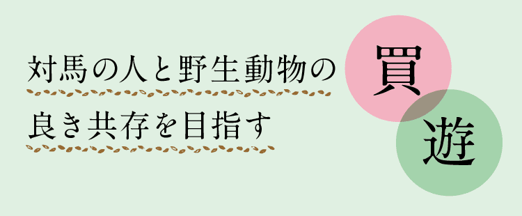 買｜遊｜対馬の人と野生動物の良き共存を目指す