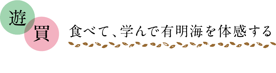 遊｜買｜食べて、学んで有明海を体感する