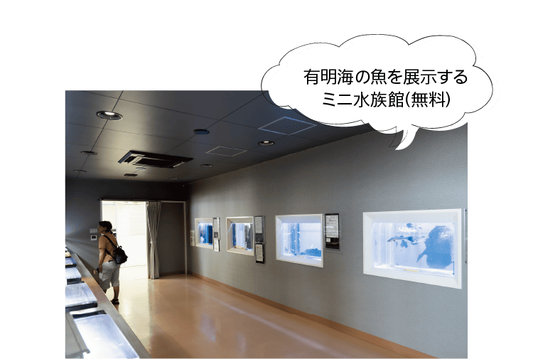 有明海の魚を展示するミニ水族館（無料）