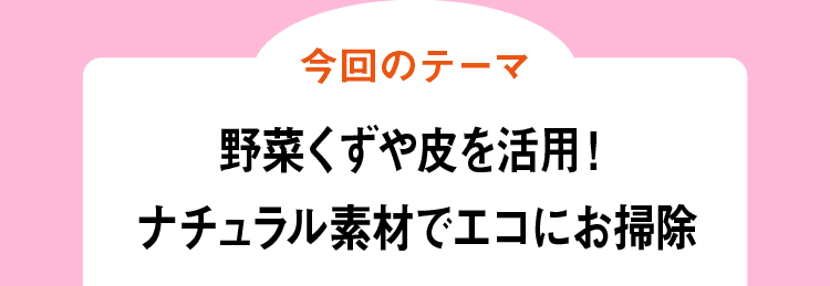 今回のテーマ｜野菜くずや皮を活用！ナチュラル素材でエコにお掃除